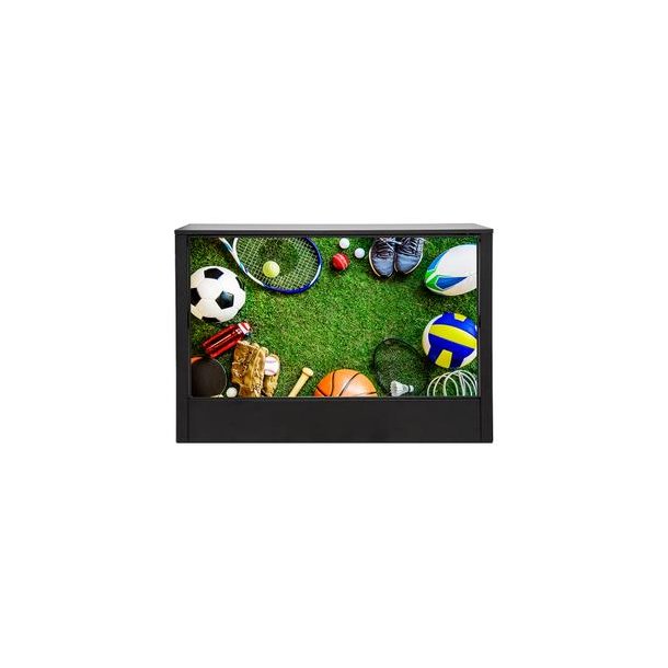 "Messedisk Disko 55"